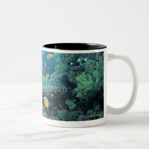 Tropical fish swimming over reef Two-Tone coffee mug