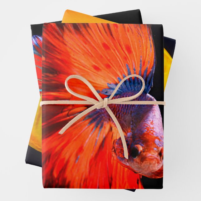 Tropical Fish Three Sheet Wrapping Paper (In situ)