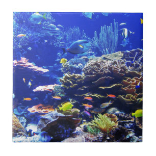 Tropical Fish Tile