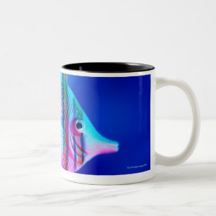 Tropical Fish Two-Tone Coffee Mug