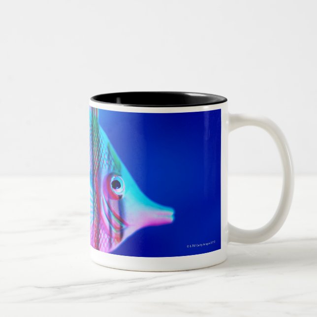 Tropical Fish Two-Tone Coffee Mug (Right)
