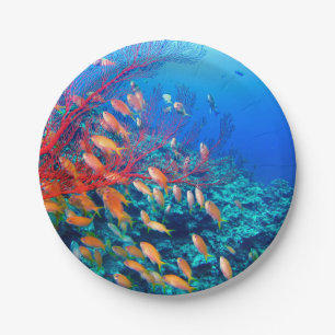 Tropical Fish Undersea Coral Reef Paper Plate