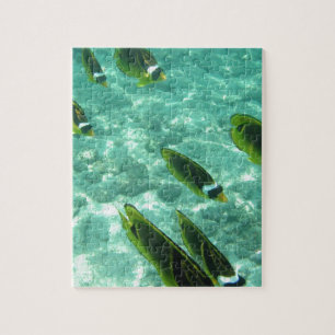 Tropical Fish Underwater Jigsaw Puzzle