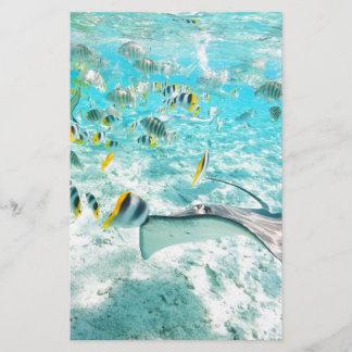 Tropical fishes stationery