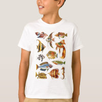 Tropical Fishes