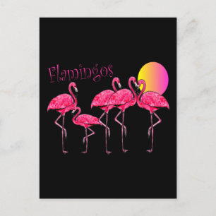 Tropical Flamingo Art Gifts Postcard