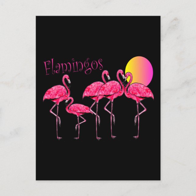 Tropical Flamingo Art Gifts Postcard (Front)
