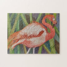 Tropical Flamingo Bird