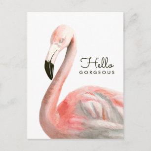 Tropical Flamingo Bird Postcard