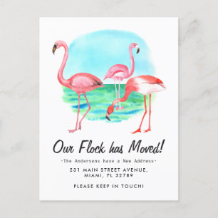 Tropical Flamingo Flock Moved New Address Moving Announcement Postcard