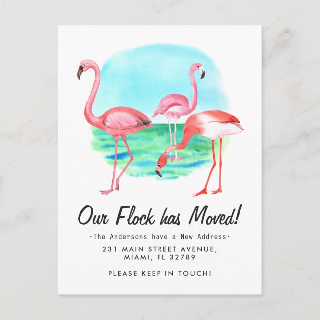 Tropical Flamingo Flock Moved New Address Moving Announcement Postcard (Front)