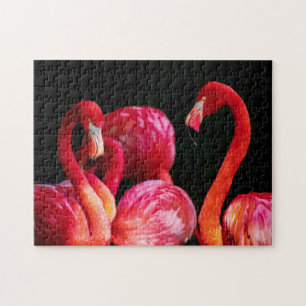 Tropical Flamingos Puzzle