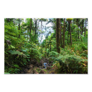 Tropical flora of el yunque rainforest photo print