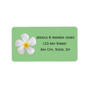 Tropical Floral, White Plumeria on Sage, Wedding Label