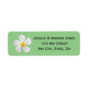 Tropical Floral, White Plumeria on Sage, Wedding Return Address Label