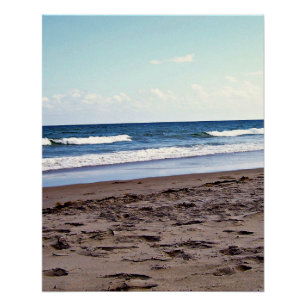 Tropical Florida Shoreline Horizon Poster