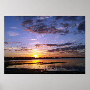 Tropical Florida Sunset Landscape Poster Photo Art