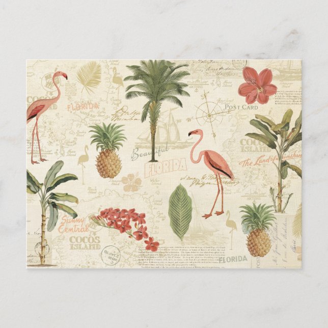 Tropical Floridian Pattern Postcard (Front)