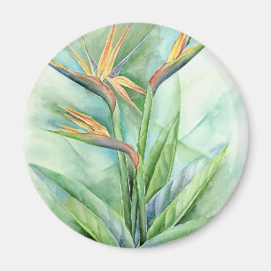 Tropical Flower Bird Of Paradise Painting - Multi Magnet