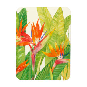 Tropical Flowers   Bird of Paradise Magnet