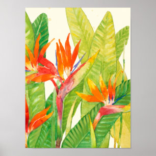 Tropical Flowers   Bird of Paradise Poster