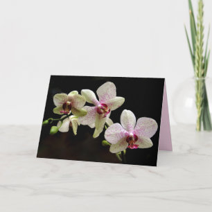 tropical flowers greeting card