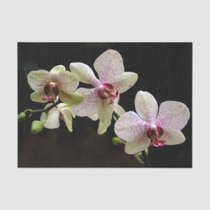 tropical flowers tissue paper