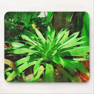 tropical foliage collection , fairchild tropical g mouse pad