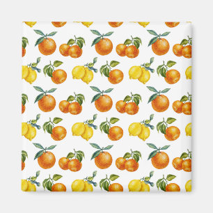 Tropical Forest Magnet