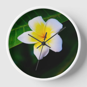 Tropical Frangipani Floral Photography Clock