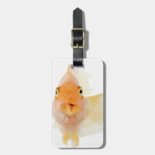 Tropical freshwater fish luggage tag