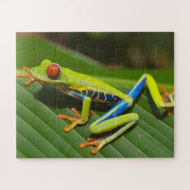 Tropical Frog Jigsaw Puzzle (Horizontal)