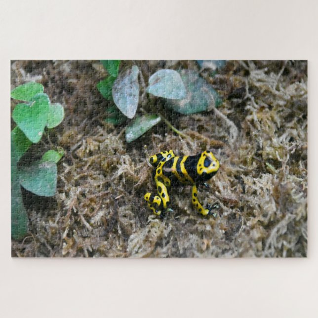 Tropical Frogs. Jigsaw Puzzle (Horizontal)