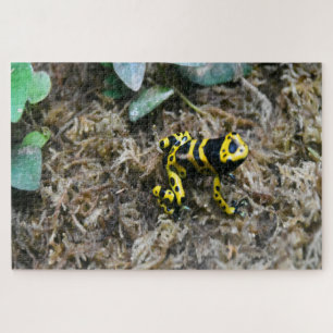 Tropical Frogs. Jigsaw Puzzle