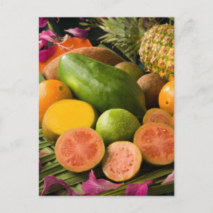 Tropical Fruits Postcard