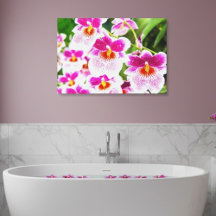 Tropical Fuchsia Orchids Wrapped Canvas