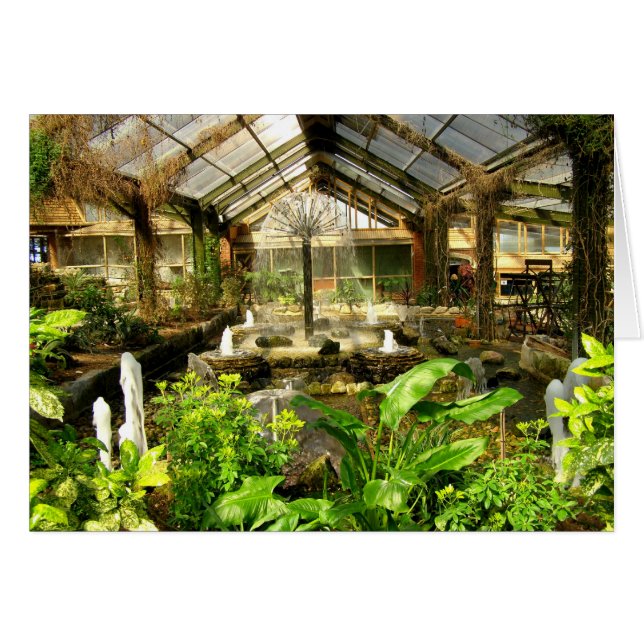 Tropical garden under glass card (Front Horizontal)