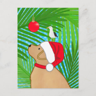 Tropical Golden Dog Santa Seagull Christmas Flat Postcard