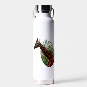 "Tropical Grace: Giraffe Popout Art with Hibiscus Water Bottle