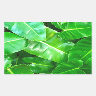 Tropical green foliage rectangular sticker