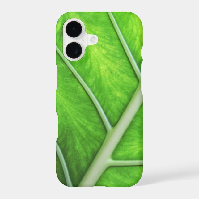 Tropical Green Leaf Nature - Simple Zen Spa Photo (Back)