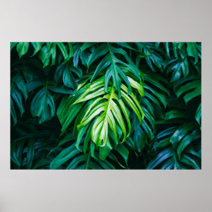 Tropical green leaves on dark background, nature s poster