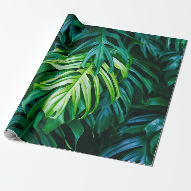 Tropical green leaves on dark background, nature s wrapping paper (Unrolled)
