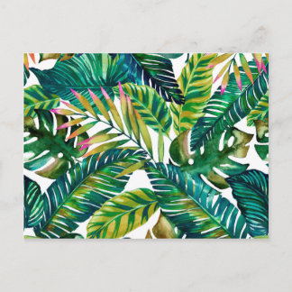 tropical green leaves postcard