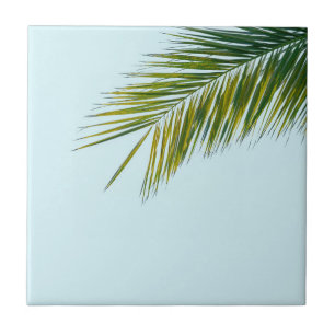 Tropical Green Palm Frond on Light Blue Ceramic Tile