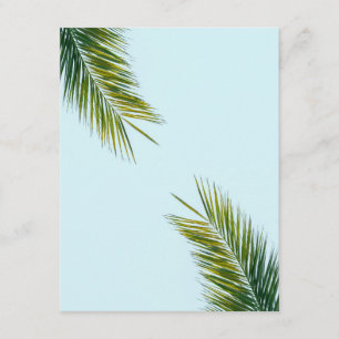 Tropical Green Palm Frond on Light Blue Enclosure Card
