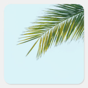Tropical Green Palm Frond on Light Blue Square Sticker