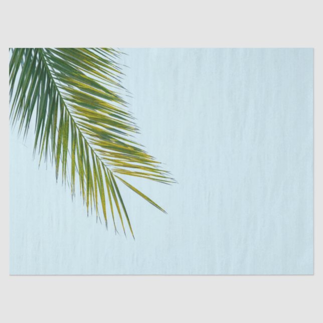 Tropical Green Palm Frond on Light Blue Tissue Paper (Front)