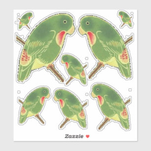 Tropical Green Parakeet Thunder_Cove
