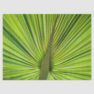 Tropical Green Tissue Paper